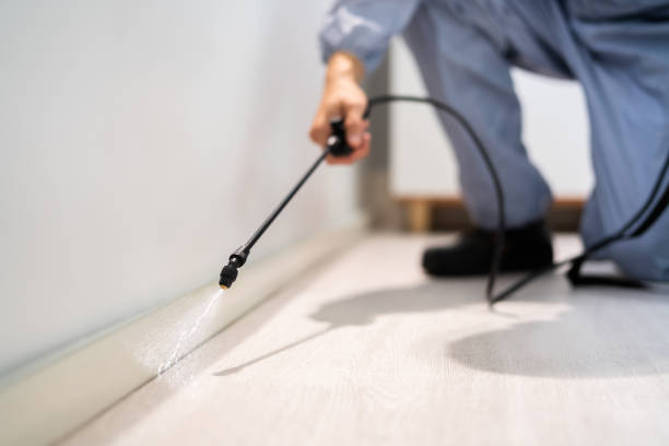 Licensed Pest Control service in Georgetown, TX - Show Me Pest Control