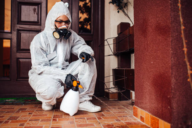 Reliable Wasp Removal contractor in Georgetown, TX by Show Me Pest Control